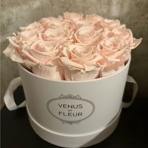 Venus Et Fleur Pink Roses in White Box